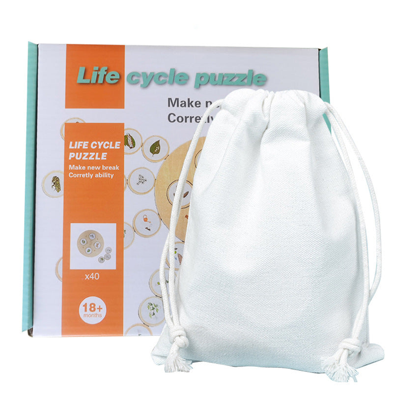 Life Cycle Educational Resource