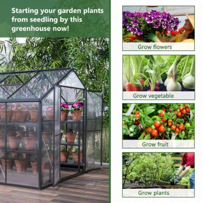 8 X 12' Outdoor Greenhouse