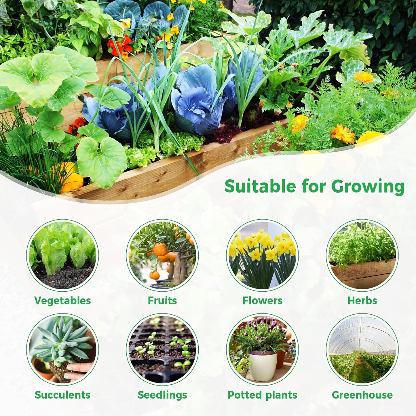 10 Pack Coco Coir Bricks 100% Natural Organic For gardening