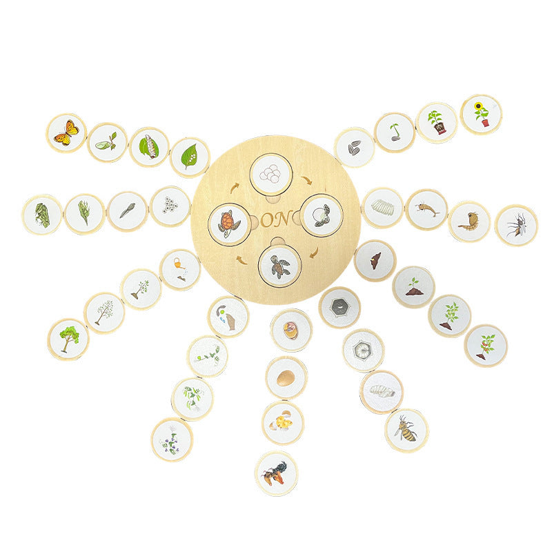 Life Cycle Educational Resource
