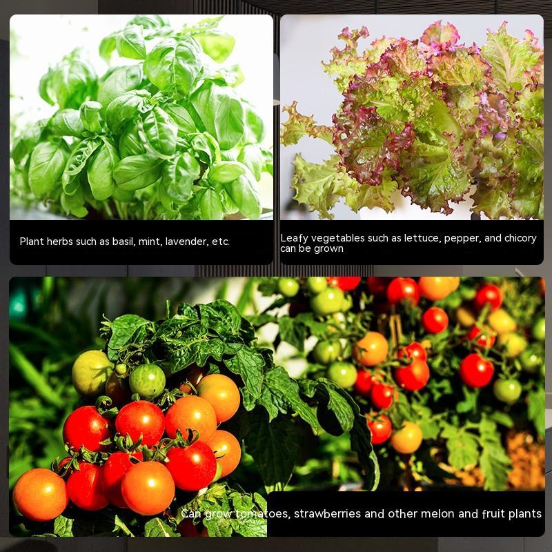 Smart Hydroponic Planter Indoor