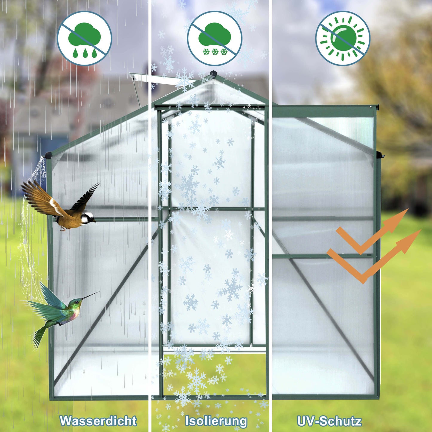 Polycarbonate Greenhouse 6X8 Ft