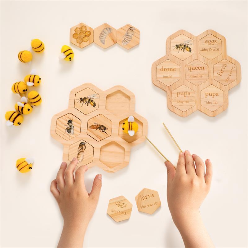 Montessori Bee Life Cycle Puzzle