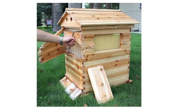 Automatic Honey And Honey Bee Spleen