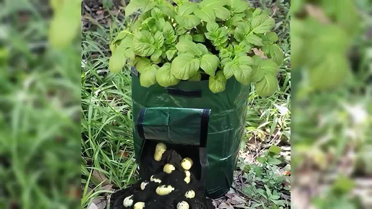 5 Packs, 10 Gallon Breathable Fabric Grow Bags- Aeration Potato Planters with Access Flap, Sturdy Handles, and Lightweight Design