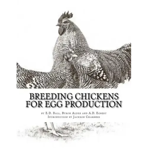 Breeding Chickens For Egg Production