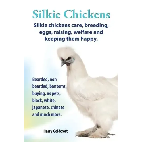 . Silkie Chickens. Silkie Chickens Care, Breeding, Eggs, Raising, Welfare and Keeping Them Happy, Bearded, Non Bearded, Bantoms, Buying, as Pets, Blac