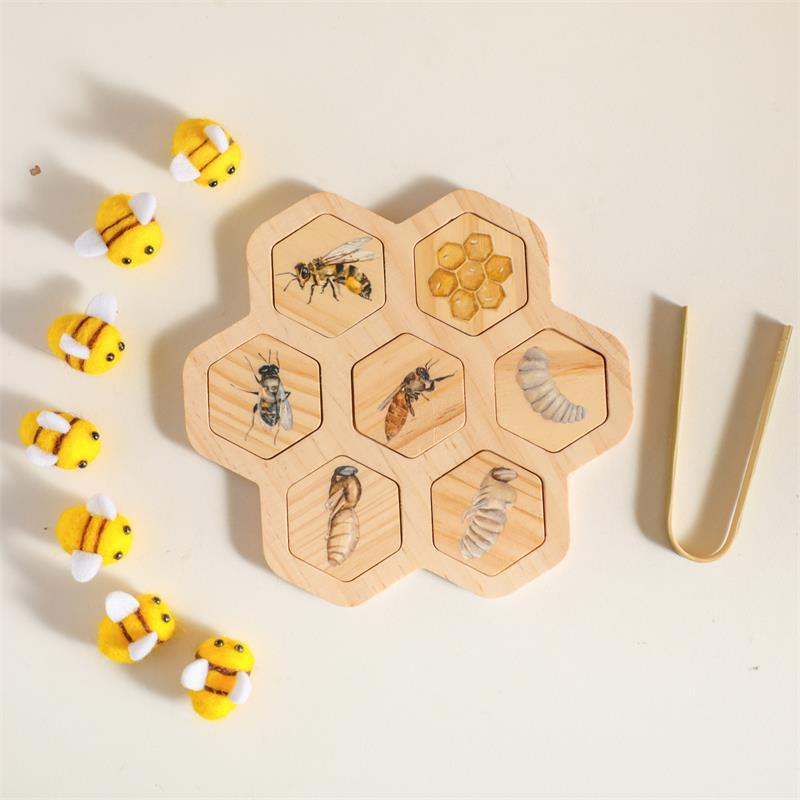 Montessori Bee Life Cycle Puzzle
