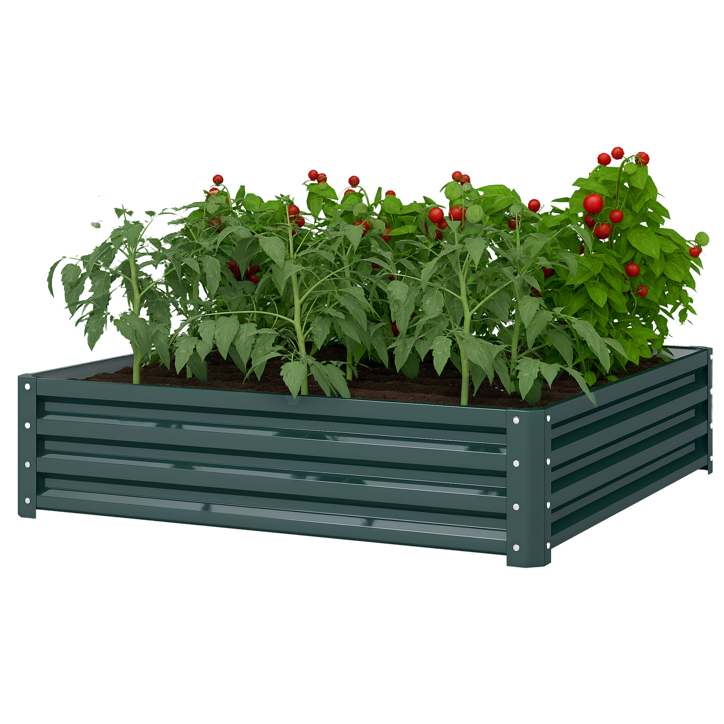 Galvanized Raised Garden Bed, 4' x 4' x 1'