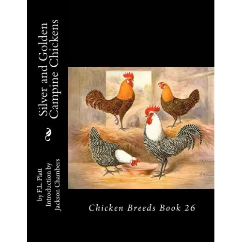 Silver and Golden Campine Chickens: Chicken Breeds Book 26