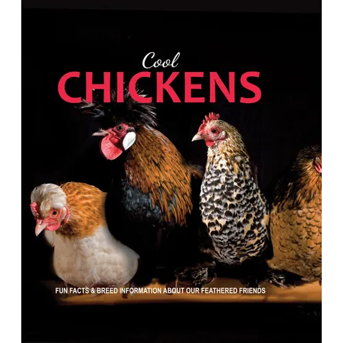 Cool Chickens