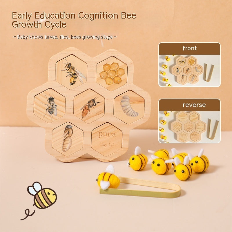 Montessori Bee Life Cycle Puzzle