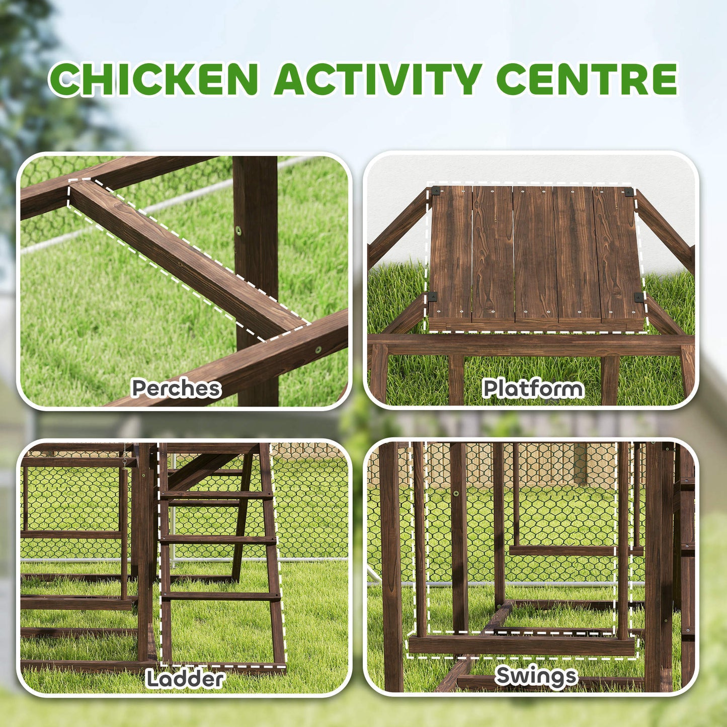 Chicken Activity Set