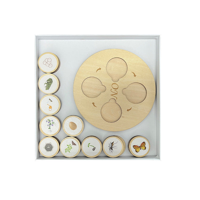 Life Cycle Educational Resource