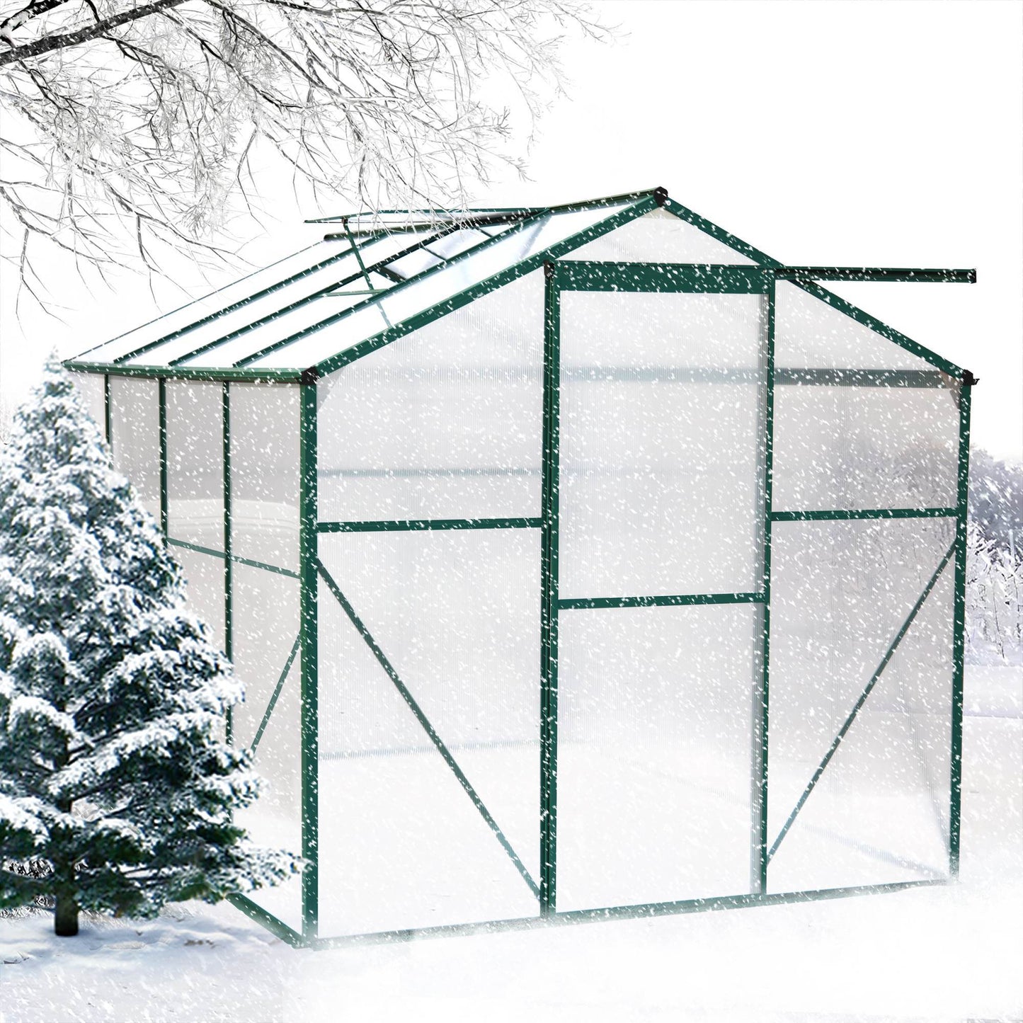 Polycarbonate Greenhouse 6X8 Ft