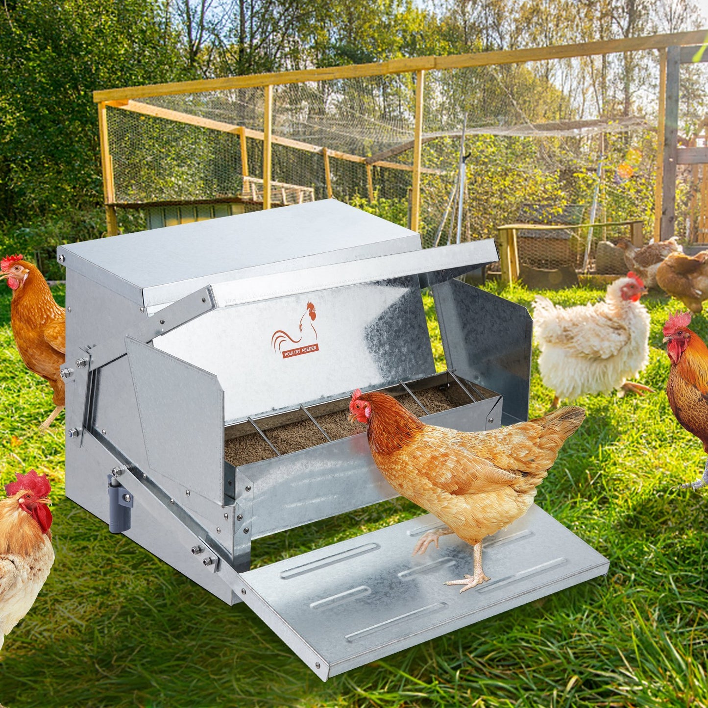 Automatic Chicken Feeder, 25 Lbs Capacity