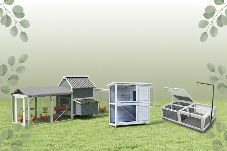 Coops & Housing Collection