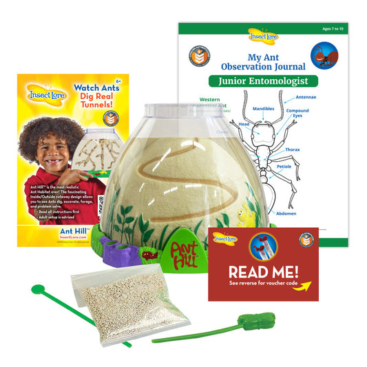 ANT HILL SCIENCE KIT