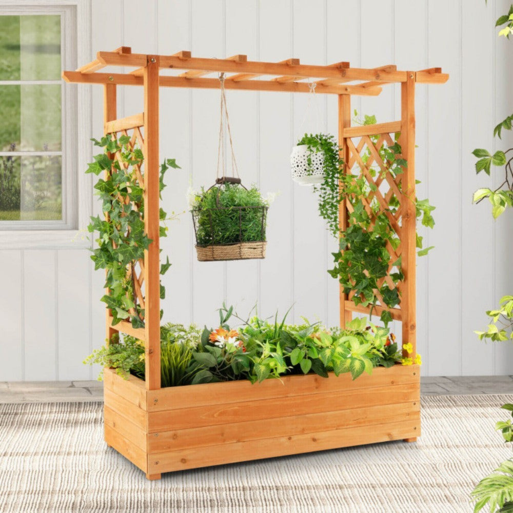 Raised Garden Bed With Trellis