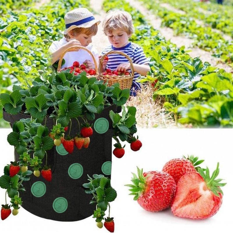 Grow Bag Vertical Garden Hanging Plant Bag