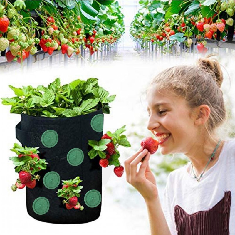 Grow Bag Vertical Garden Hanging Plant Bag