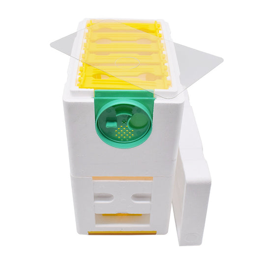 Honeybee Beehive Full Set Of Queen Bee Mate Foam Double Layer King Box