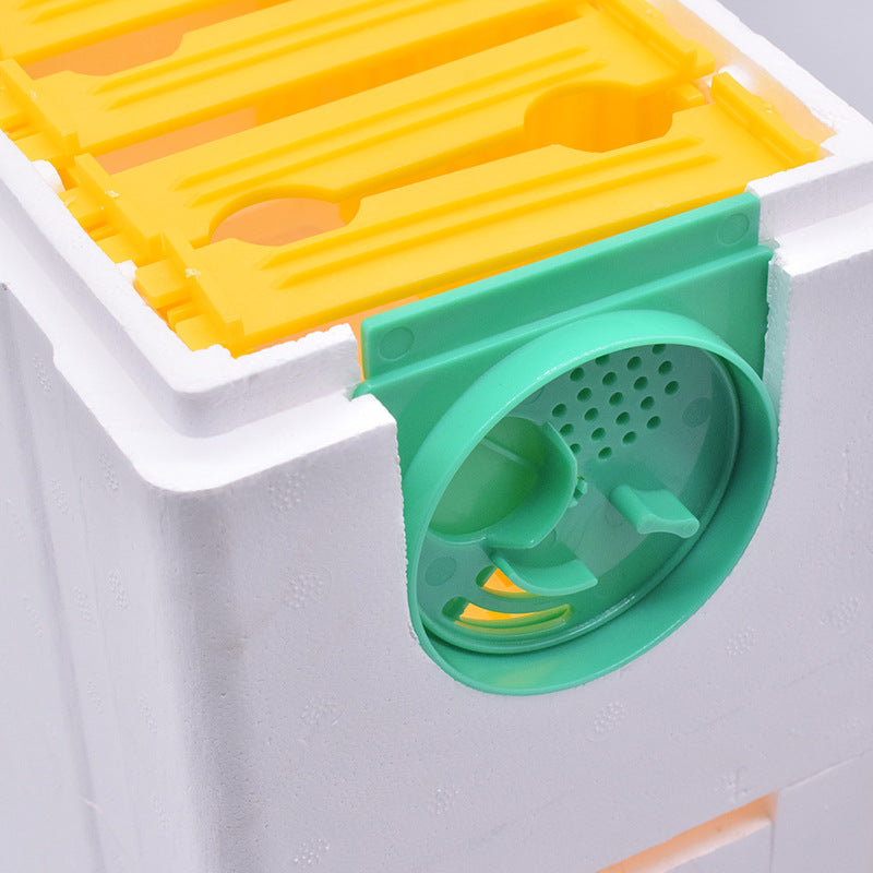 Honeybee Beehive Full Set Of Queen Bee Mate Foam Double Layer King Box