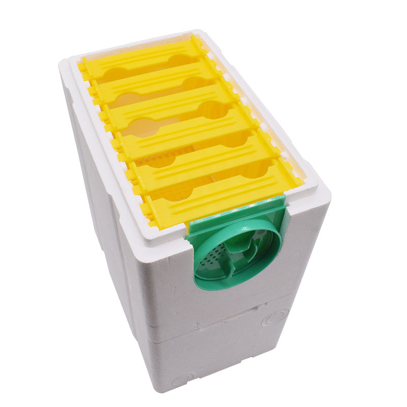 Honeybee Beehive Full Set Of Queen Bee Mate Foam Double Layer King Box