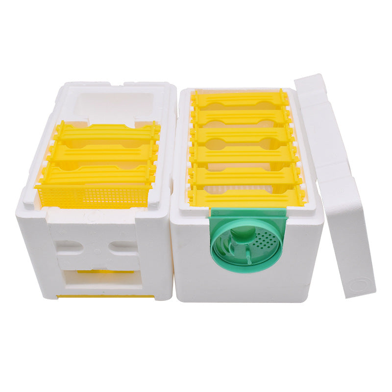 Honeybee Beehive Full Set Of Queen Bee Mate Foam Double Layer King Box