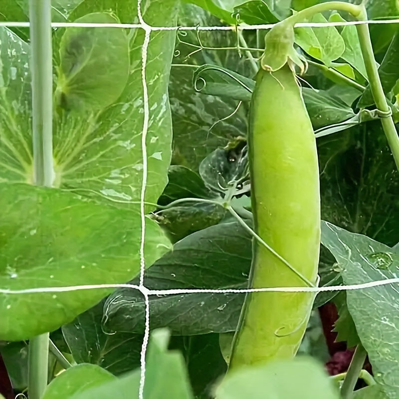 1pc Garden Plant Climbing Net
