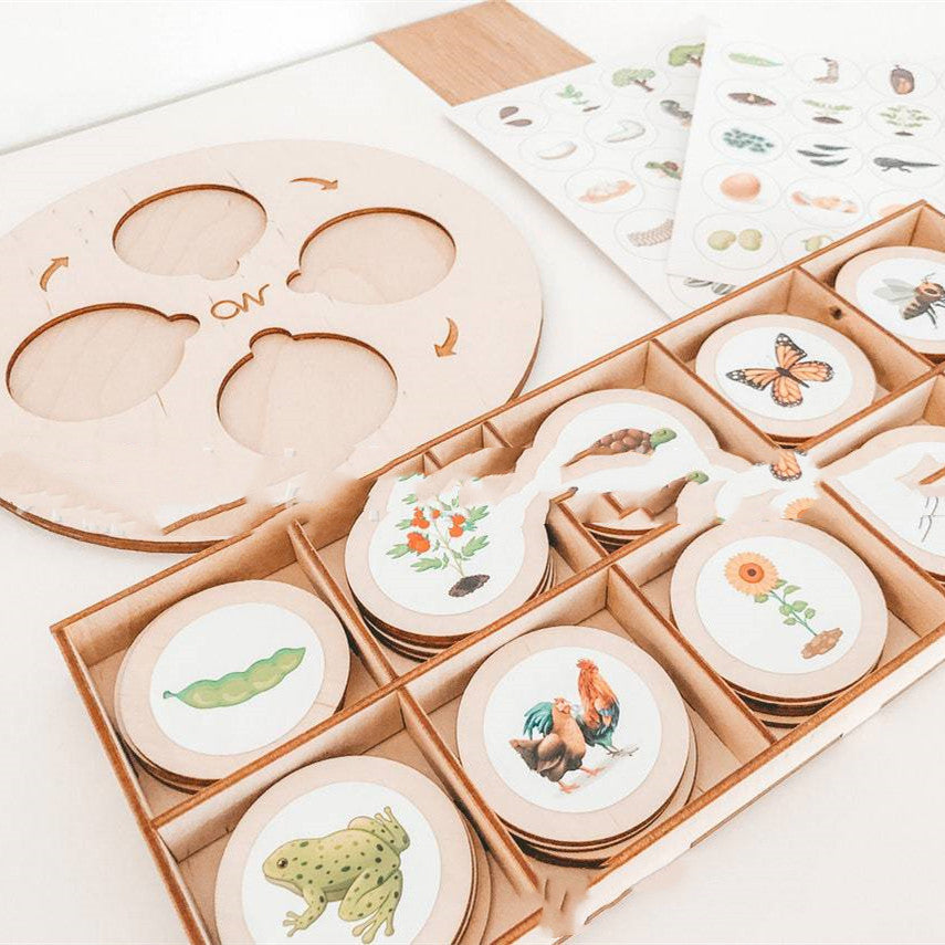 Montessori Life Cycle Tray