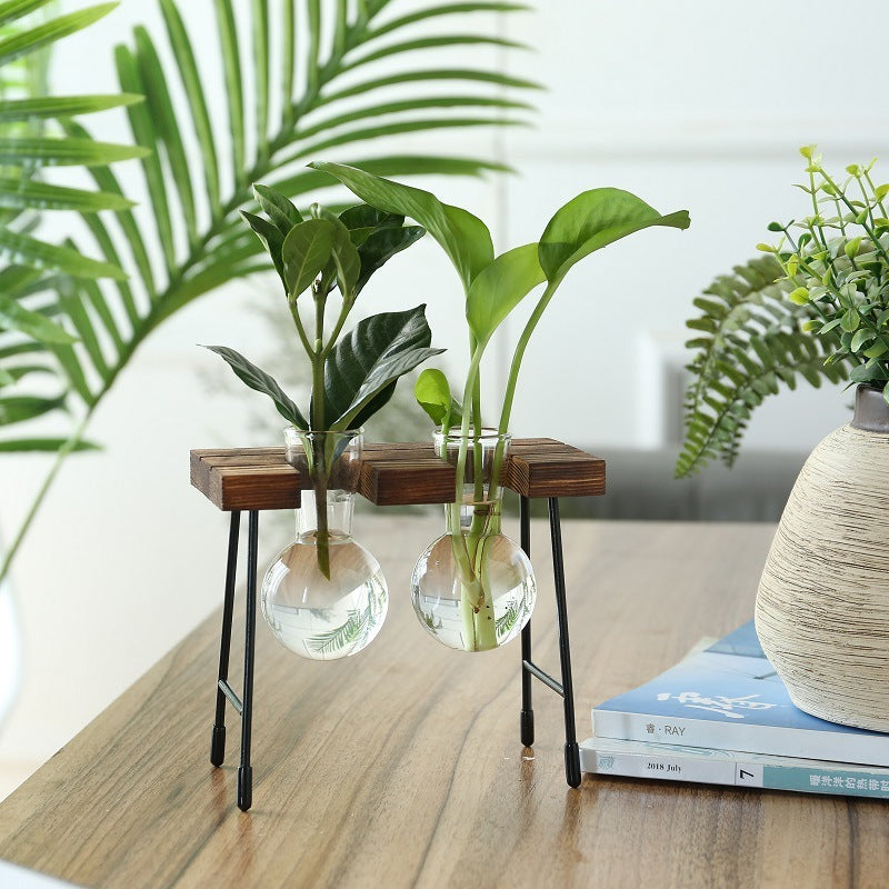 Rustic Plant Propagation with Wooden Stand
