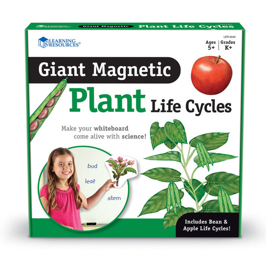 GIANT MAGNETIC PLANT LIFE CYCLES SCIENCE KIT