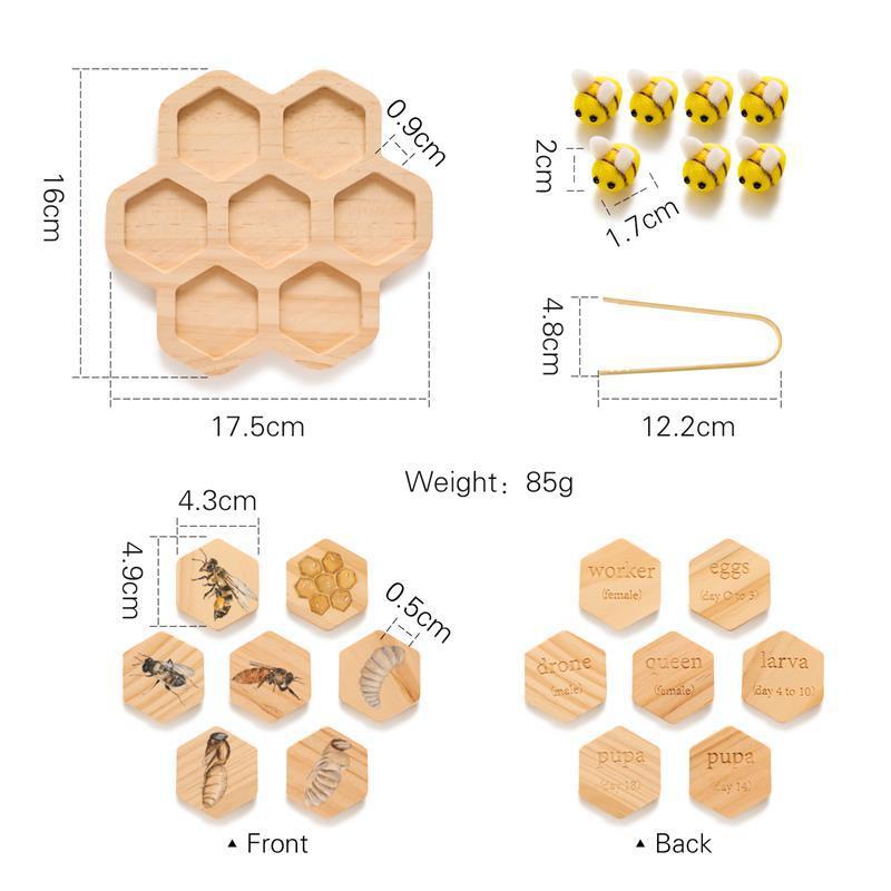 Montessori Bee Life Cycle Puzzle