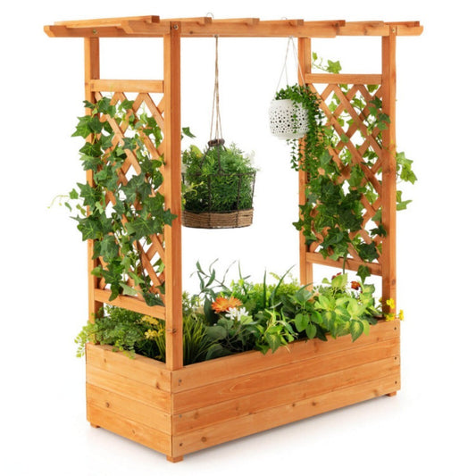 Raised Garden Bed With Trellis