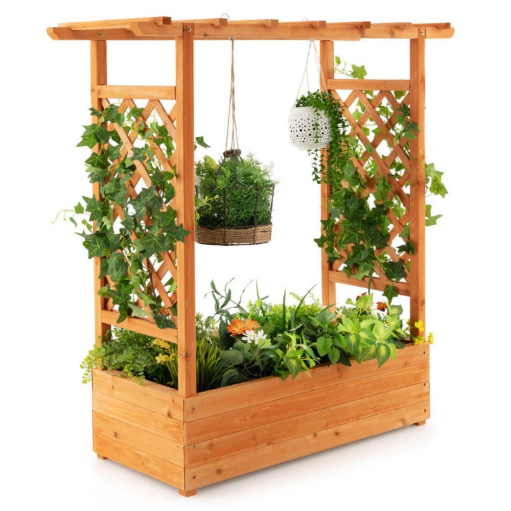 Raised Garden Bed With Trellis