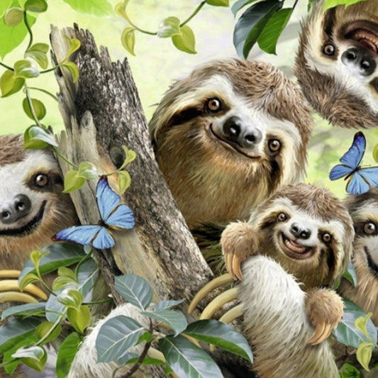 Cute Sloth Diamonds Painting