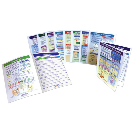 ALGEBRA SKILLS VISUAL LEARN GUIDES MATH KIT