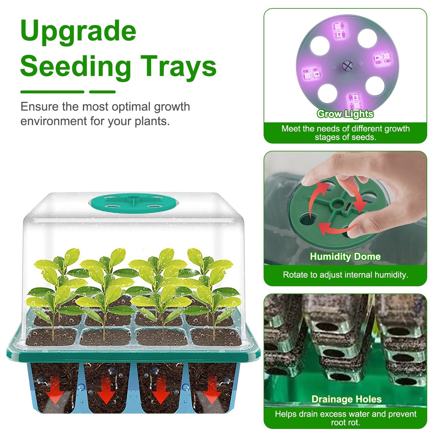 5Packs Seed Starter Tray With Grow Light