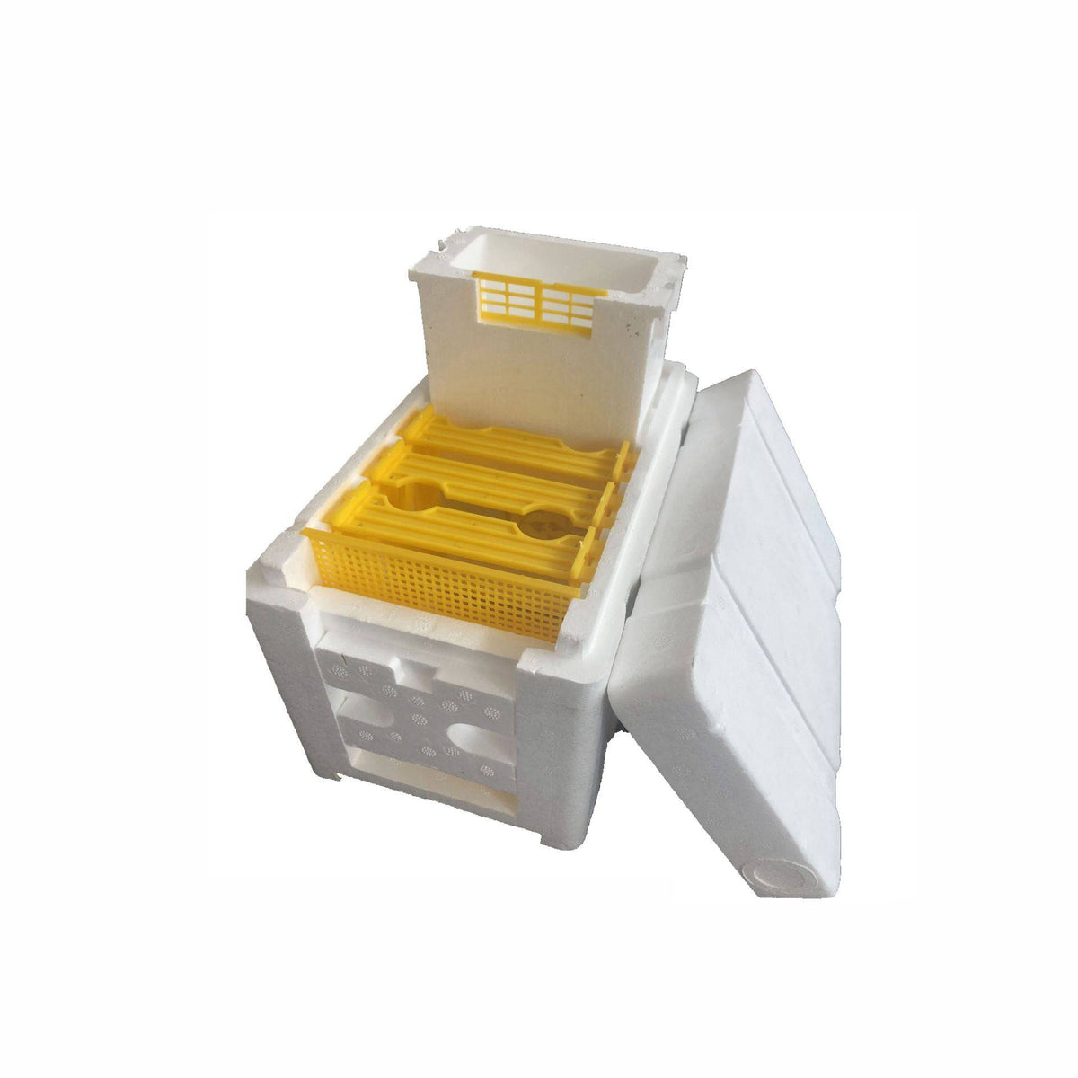 Breeding Tool Box Bee Mating Pollination Breeding King Box Tool Set – Heritage Homeschool ...