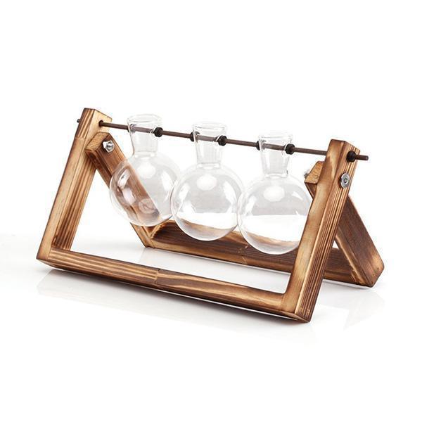 Rustic Plant Propagation with Wooden Stand