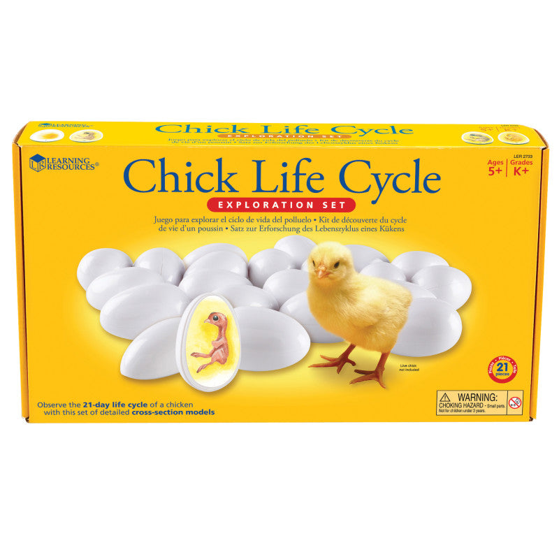 CHICK LIFE CYCLE EXPLORATION SET SCIENCE KIT