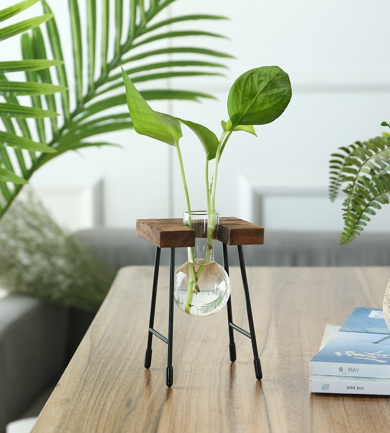 Rustic Plant Propagation with Wooden Stand