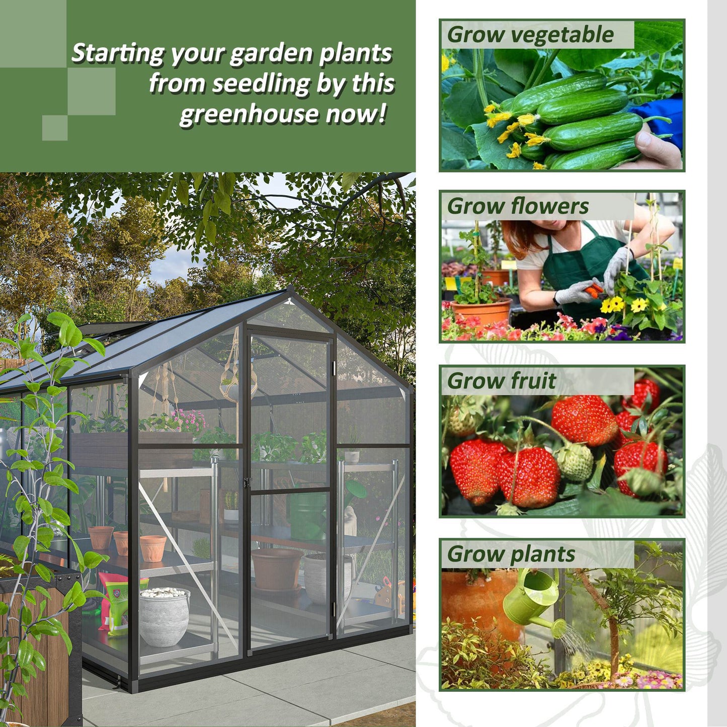 6x8 FT Polycarbonate Greenhouse