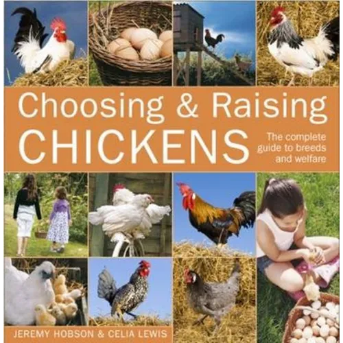 Choosing and Raising Chickens: The Complete Guide to Breeds and Welfare