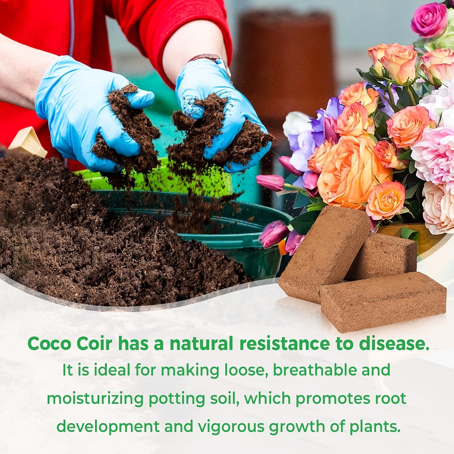 10 Pack Coco Coir Bricks 100% Natural Organic For gardening