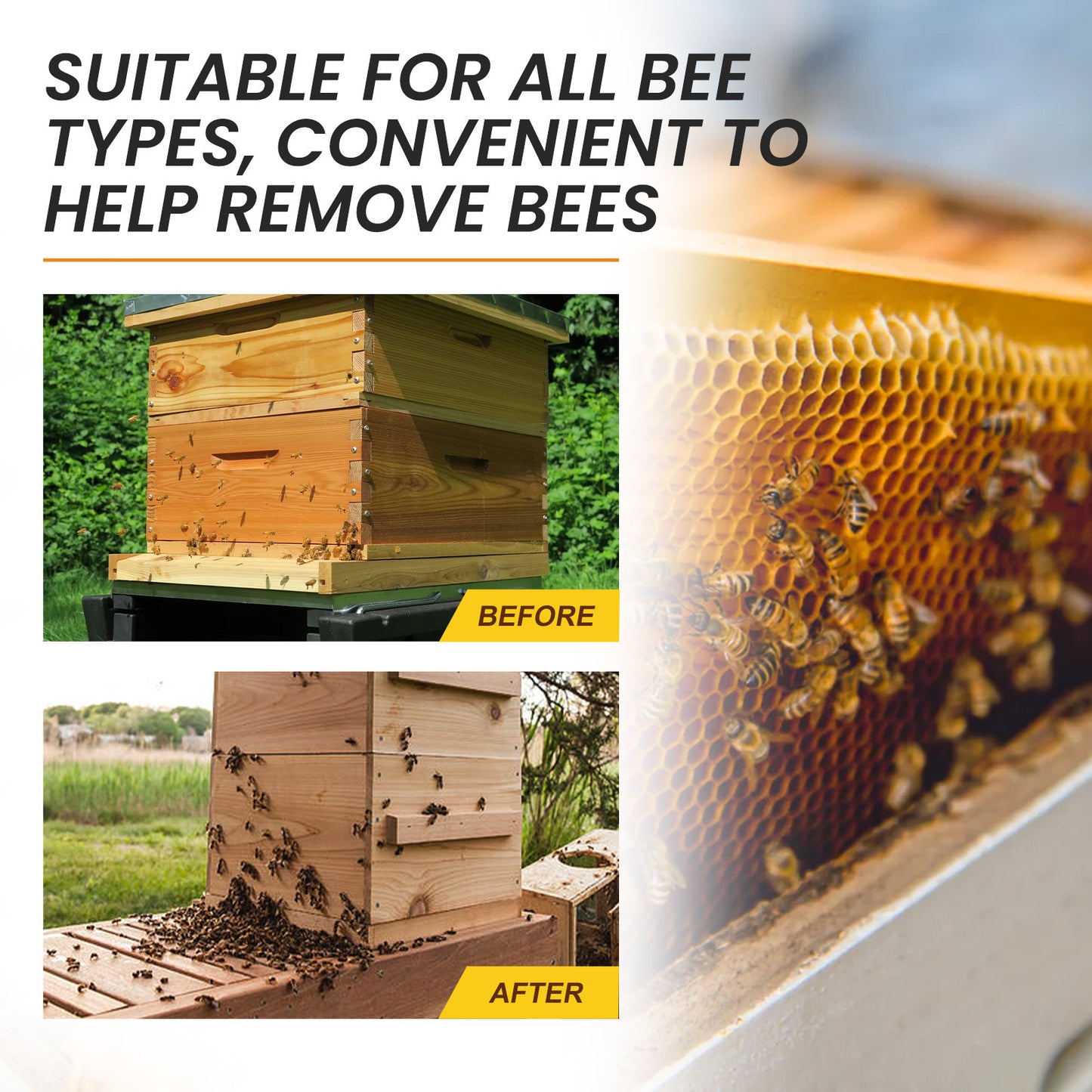 Bee Attractant
