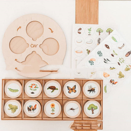 Montessori Life Cycle Tray