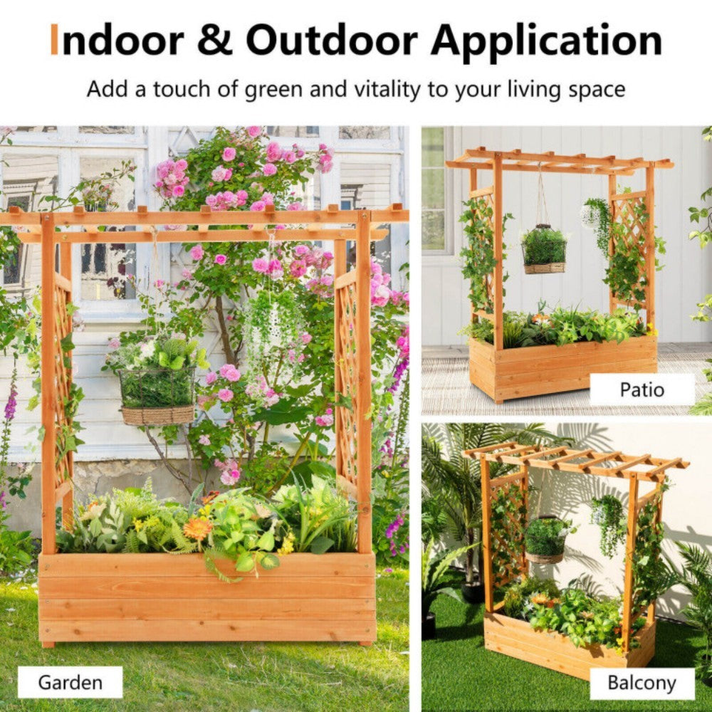 Raised Garden Bed With Trellis