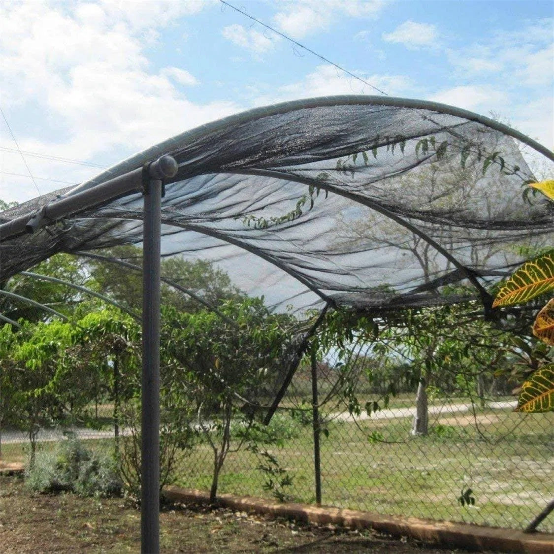 Shade Cloth Black Sunblock Fabric With Grommets UV Resistant For Garden Plants Cover